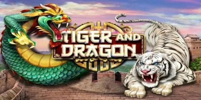 Quy định trong bộ môn Dragon Tiger