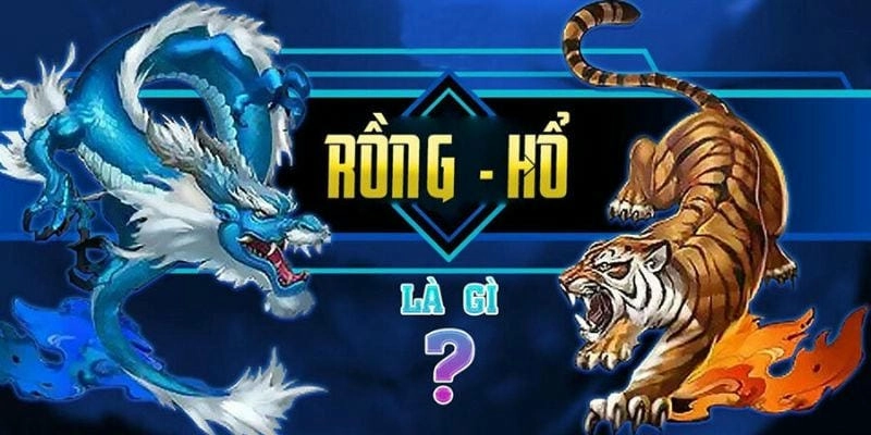 Giới thiệu rồng hổ BOT88