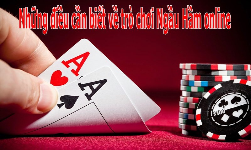 Cách chơi BullFight chi tiết cho người mới bắt đầu